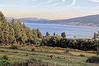 Montenegro i September